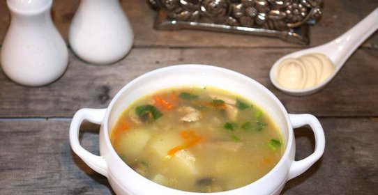 Куриный суп с овсянкой и грибами