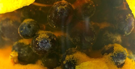Моченый виноград по‑кубански