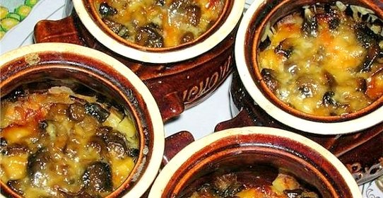 Курица с шампиньонами в горшочке