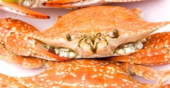 Вареный краб