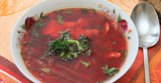 Борщ в кастрюле Zepter