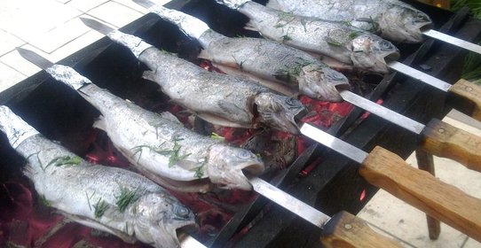 Озерная форель на углях