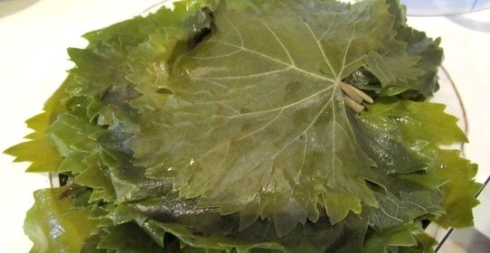 Консервированные листья винограда