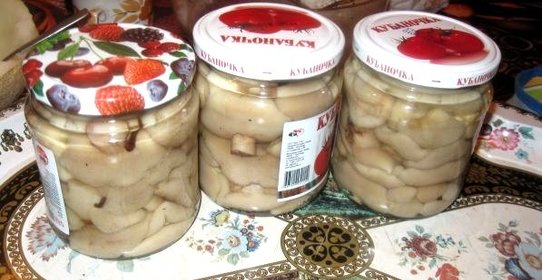 Маринованные маслята быстрого приготовления