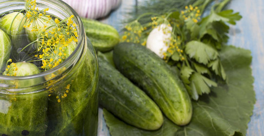 Огурцы малосольные