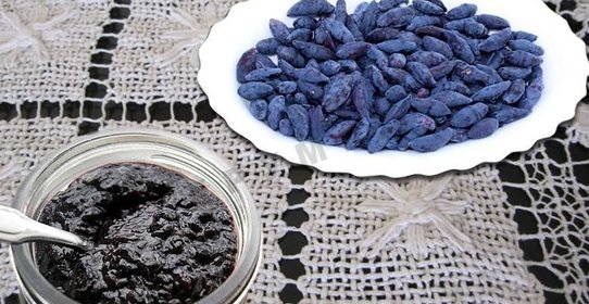 Варенье из жимолости на зиму