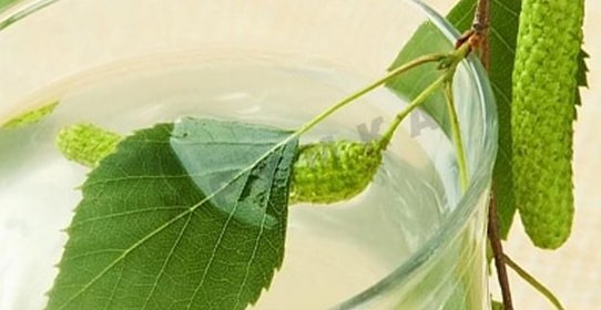 Домашний березовый квас с изюмом