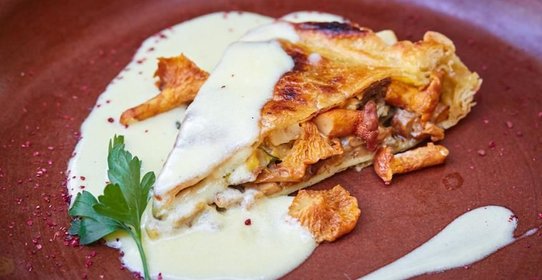 Пирог с фермерской уткой и лисичками