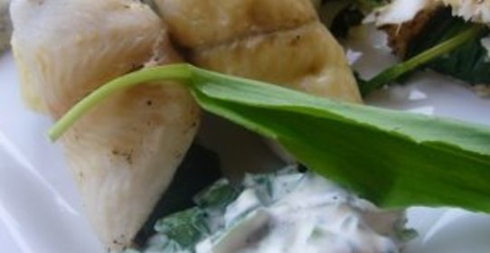 Рулетики из камбалы с черемшой с пюре и соусом