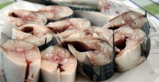 Засолка скумбрии в домашних условиях
