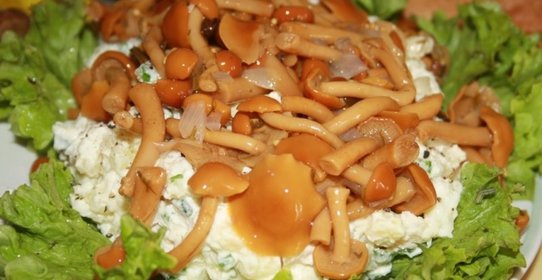 Салат Грибная полянка №2