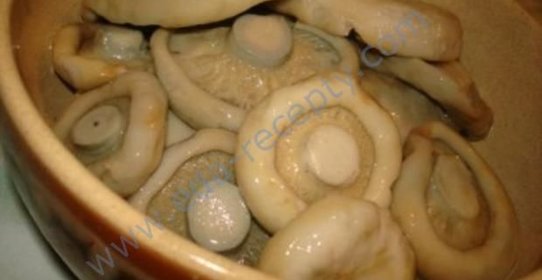 Грузди маринованные