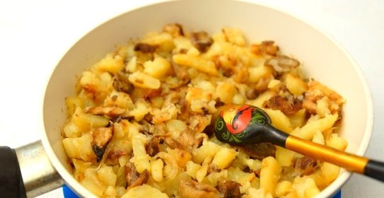 Жареные лесные грибы