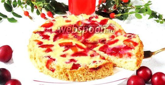 Шарлотка с алычой