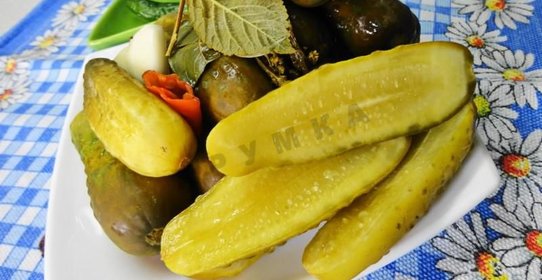 Засолка бочковых огурцов на зиму