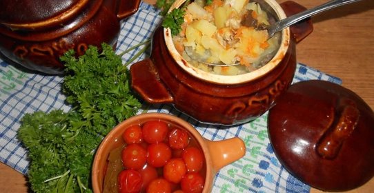 Горшочки с мясным ассорти и лесными грибами