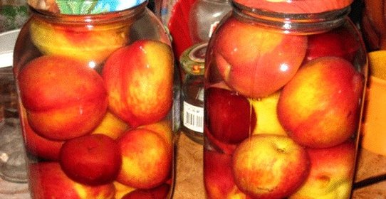 Компот из нектаринов