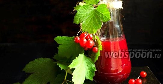 Калиновый соус к овощному штруделю