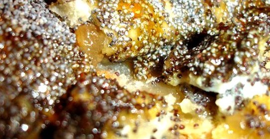 Постный маковый рулет