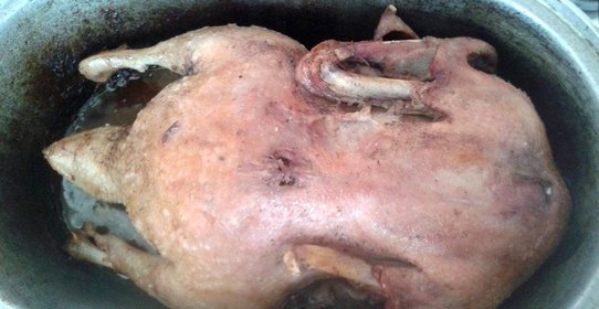 Фаршированная утка в духовке