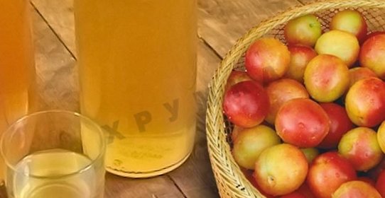 Домашнее вино из алычи