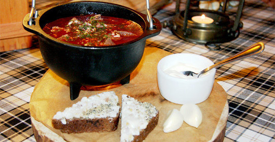 Борщ с мясом лося