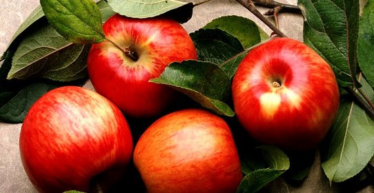 Ржаная шарлотка с яблоками