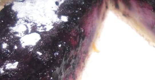 Песочный пирог с черникой и апельсиновой цедрой