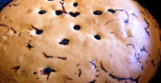 Шарлотка с черникой