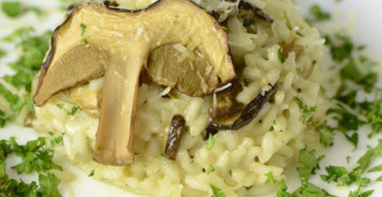 Ризотто с белыми грибами