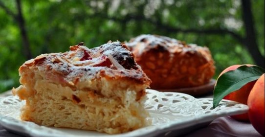 Шарлотка дрожжевая с медом и нектаринами