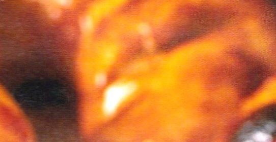 Куриные ножки в медово-лимонной глазури