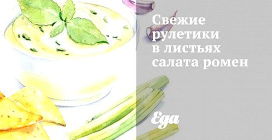 Свежие рулетики в листьях салата ромен