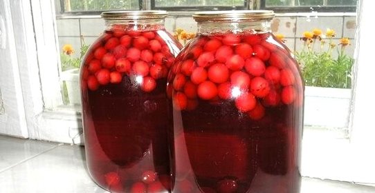 Вишневый компот в банке