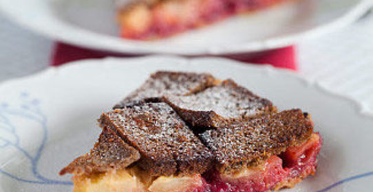 Шарлотка из черного хлеба с яблоками и брусникой
