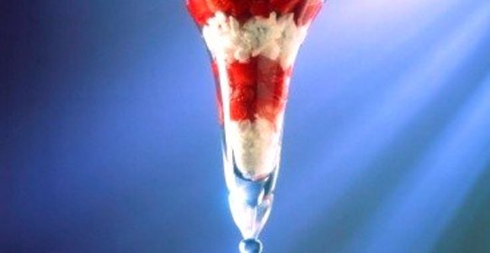 Свежие ягоды с йогуртовым кремом и грецкими орехами