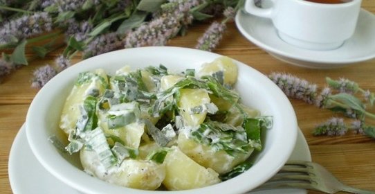 Салат с мелиссой