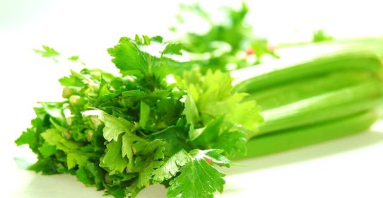 Салат из сельдерея для похудения