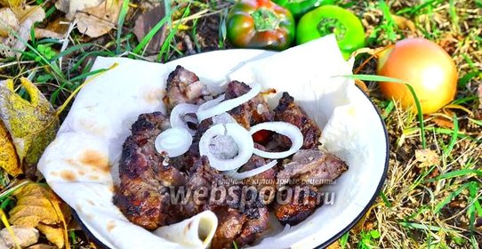 Шашлык из баранины маринованный в киви