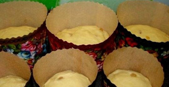 Венское тесто для куличей