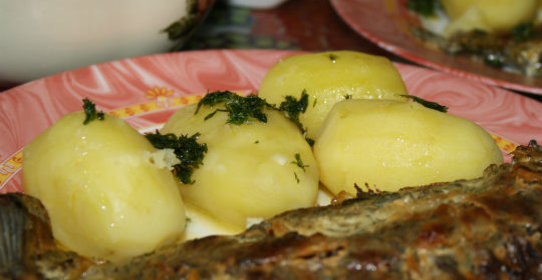 Караси в сметане