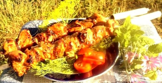 Шашлык из куриного филе