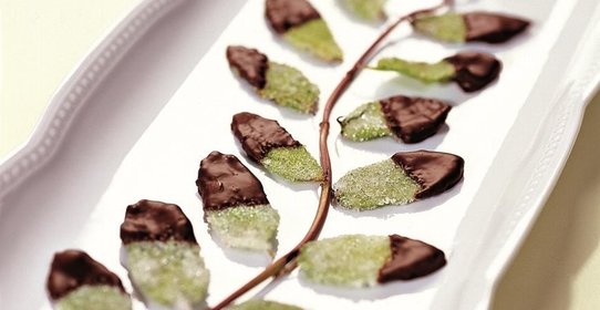 Мятные листья в шоколаде