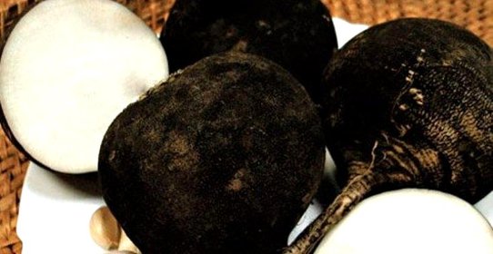 Квашеная редька