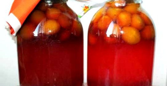 Компот из слив без стерилизации