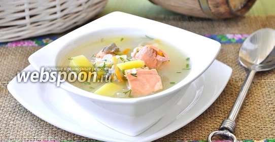 Уха из кеты