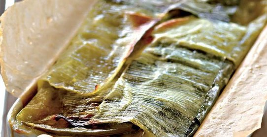 Красочный террин