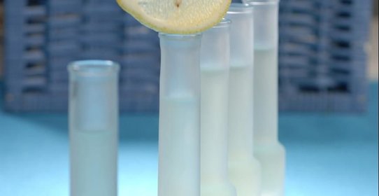 Спотыкач лимонный