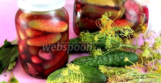 Огурцы маринованные со свёклой под капроновыми крышками