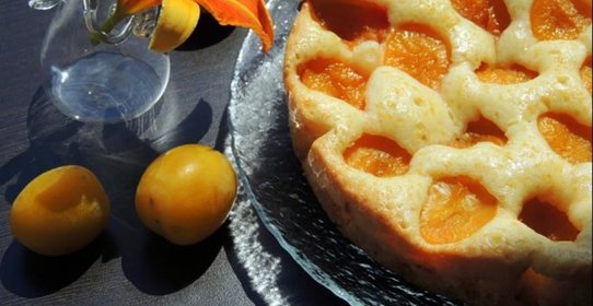 Воздушная шарлотка со сливой в мультиварке